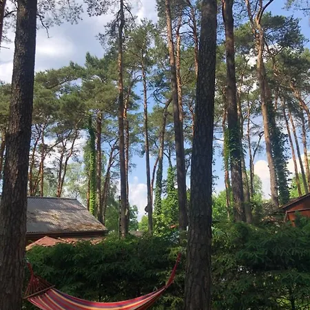 48 Letniskowy