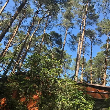 48 Letniskowy Rudno (Wolsztyn)