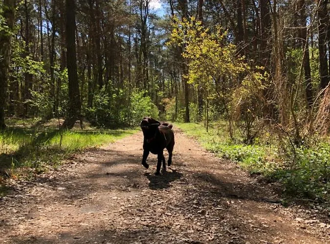 48 Letniskowy Holiday home Rudno (Wolsztyn)