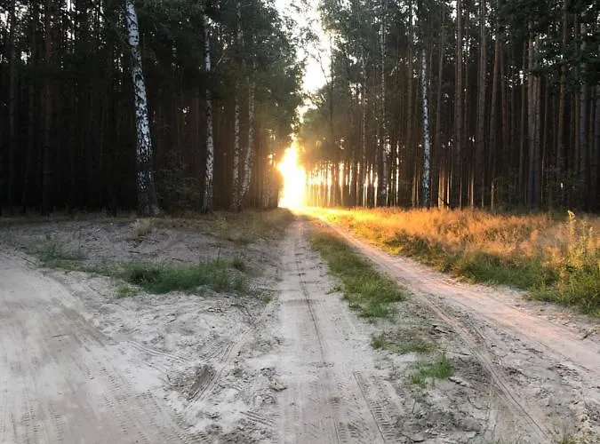 48 Letniskowy Rudno (Wolsztyn)