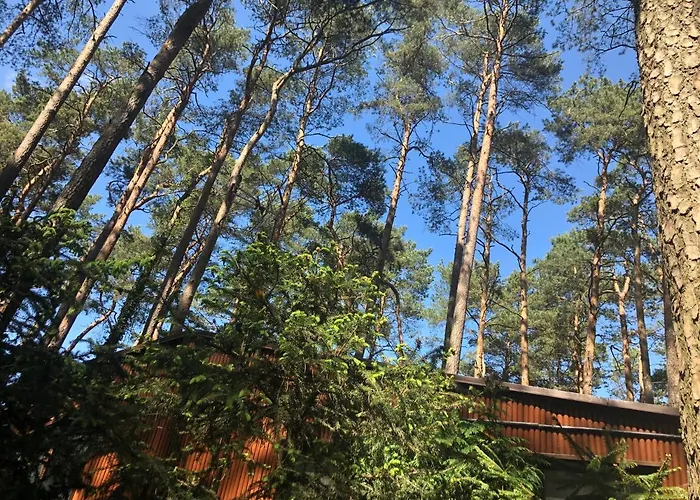 48 Letniskowy Rudno (Wolsztyn)